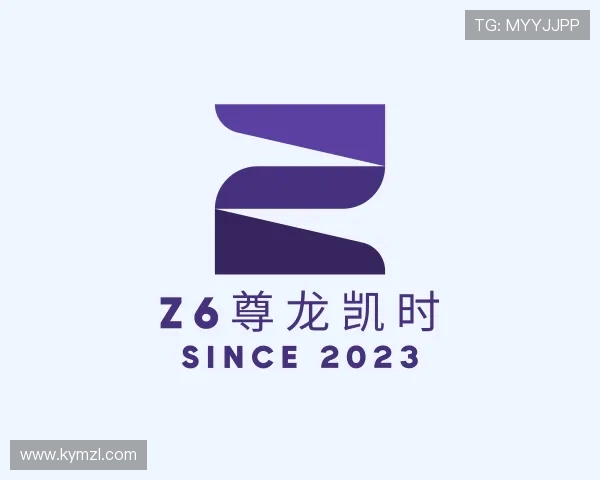 发现z6尊龙凯时